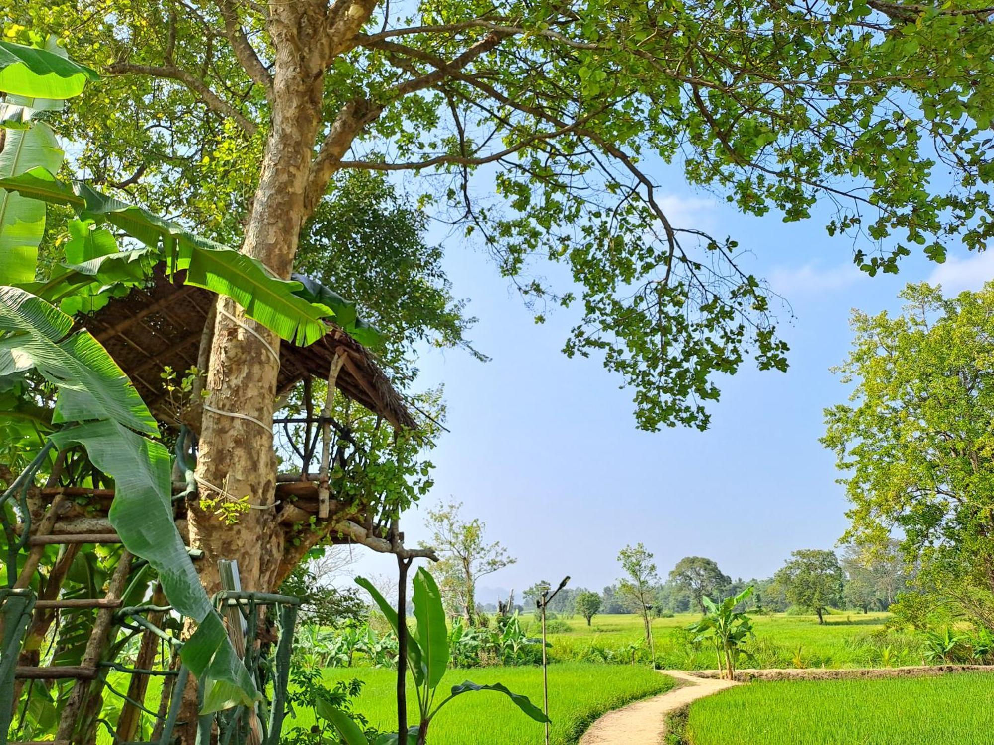 The Nature Park Villa Sigiriya Bagian luar foto